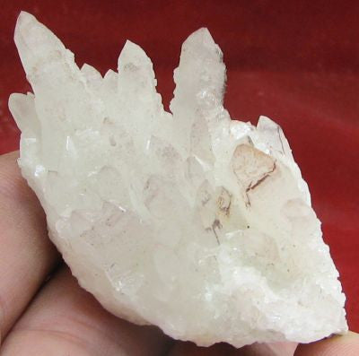 Calcite, Quartz #628