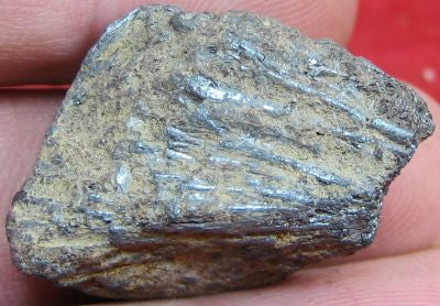 Cylindrite