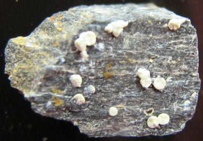 Planerite