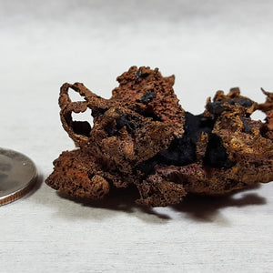 Copper, Stock #12sl