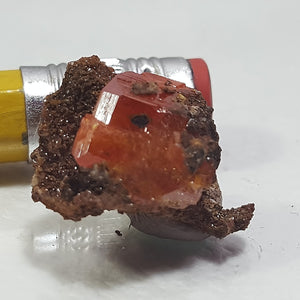 Wulfenite from Red Cloud Mine, Lapaz County Arizona. Stock #457sl