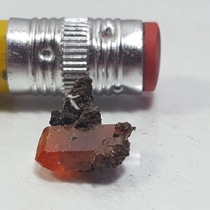 Wulfenite from Red Cloud Mine, Lapaz County Arizona. Stock #459sl