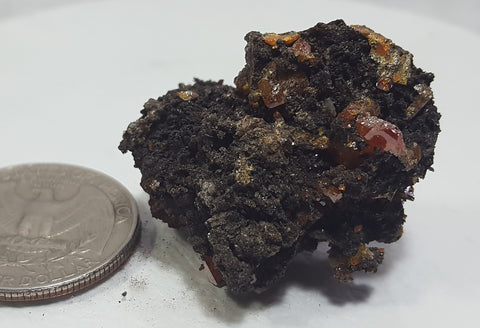 Wulfenite from Red Cloud Mine, Lapaz County Arizona. Stock #461sl