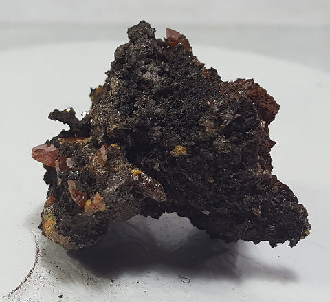 Wulfenite from Red Cloud Mine, Lapaz County Arizona. Stock #461sl