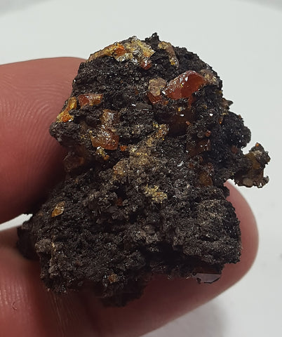 Wulfenite from Red Cloud Mine, Lapaz County Arizona. Stock #461sl