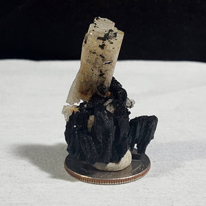 Goshenite Beryl, Schorl Tourmaline, Stock #3781sl