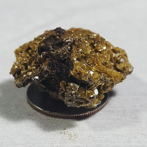 Wulfenite from Mystery Tunnel to Silver Bill Mine, Cochise County, Arizona. Stock #500sl