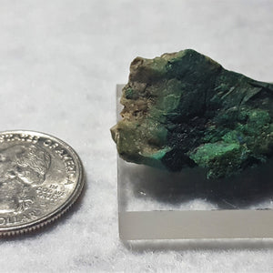Guanacoite, Arhbarite (TL). Stock #4500sl