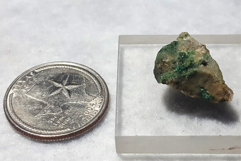 Guanacoite, Arhbarite (TL). Stock #4505sl