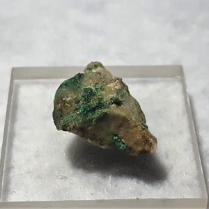 Guanacoite, Arhbarite (TL). Stock #4505sl