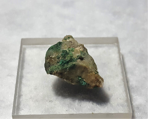 Guanacoite, Arhbarite (TL). Stock #4505sl