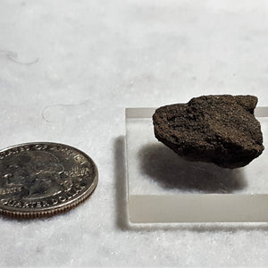 Coffinite, Blue Mesa, Mesa County, Colorado. Stock #6304sl