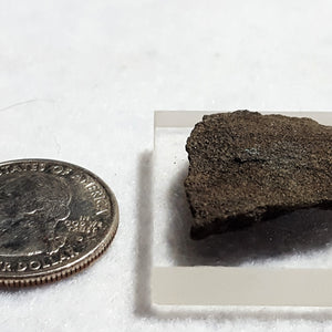 Coffinite, Blue Mesa, Mesa County, Colorado. Stock #6305sl