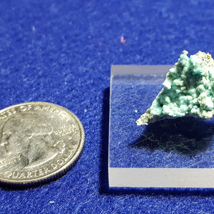 Chalcoalumite, Grandview Mine, Arizona. Stock #6310sl