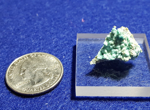 Chalcoalumite, Grandview Mine, Arizona. Stock #6310sl