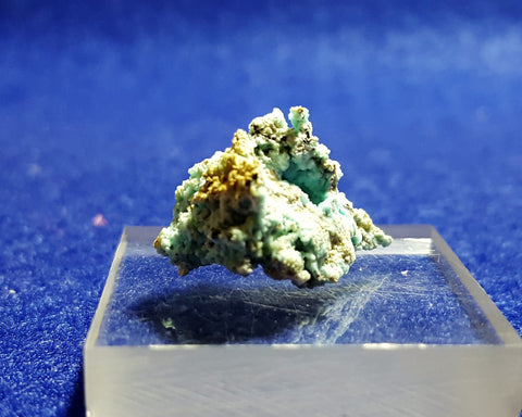 Chalcoalumite, Grandview Mine, Arizona. Stock #6310sl