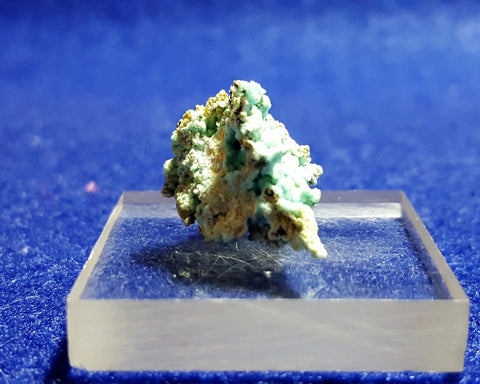 Chalcoalumite, Grandview Mine, Arizona. Stock #6310sl