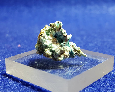 Chalcoalumite, Grandview Mine, Arizona. Stock #6310sl