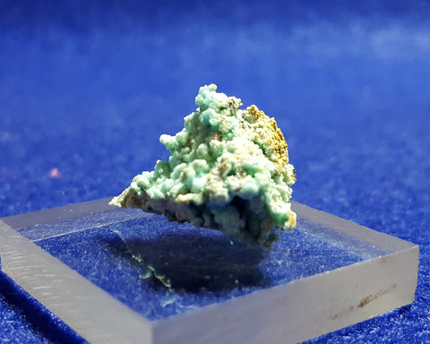 Chalcoalumite, Grandview Mine, Arizona. Stock #6310sl