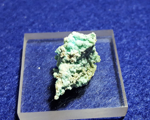 Chalcoalumite, Grandview Mine, Arizona. Stock #6310sl