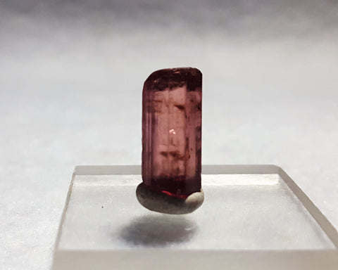 Tourmaline, Konar, Afghanistan. 8.5ct. Stock #405sl