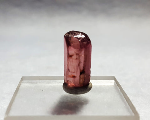 Tourmaline, Konar, Afghanistan. 8.5ct. Stock #405sl