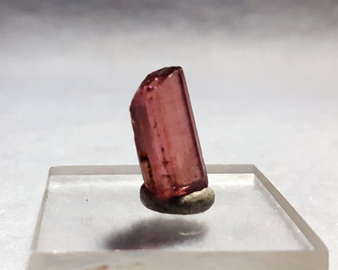 Tourmaline, Konar, Afghanistan. 8.5ct. Stock #405sl