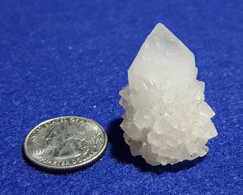 Quartz (Cactus), Mpumalanga, South Africa. Stock #1700sl