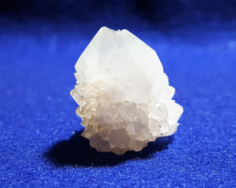 Quartz (Cactus), Mpumalanga, South Africa. Stock #1700sl