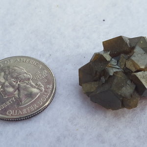 Garnet, Andradite. Stanley Butte Arizona. Stock #1703sl