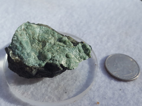 Lizardite, Monte de tre Abati, Coli, Piacenza Province, Emilia-Romagna, Italy. Stock #17000sl