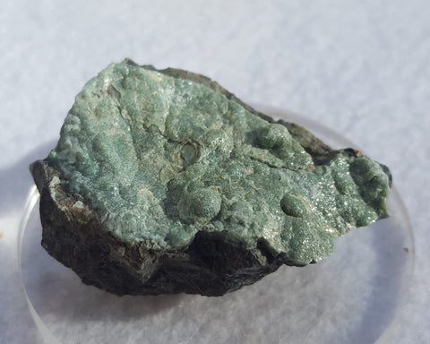 Lizardite, Monte de tre Abati, Coli, Piacenza Province, Emilia-Romagna, Italy. Stock #17000sl