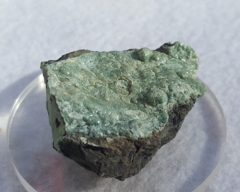 Lizardite, Monte de tre Abati, Coli, Piacenza Province, Emilia-Romagna, Italy. Stock #17000sl