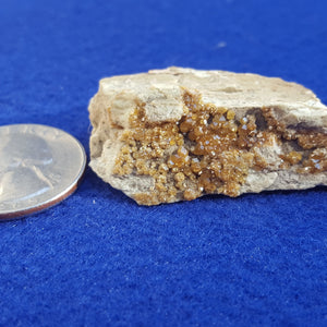 Topazolite, Andradite, Montijovet, Aosta Valley, Italy. Stock #2000sl