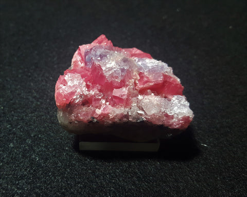 Rhodochrosite, Sweet Home Mine, Alma, Colorado. Stock #1800sl