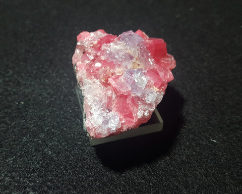 Rhodochrosite, Sweet Home Mine, Alma, Colorado. Stock #1800sl