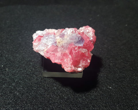 Rhodochrosite, Sweet Home Mine, Alma, Colorado. Stock #1800sl