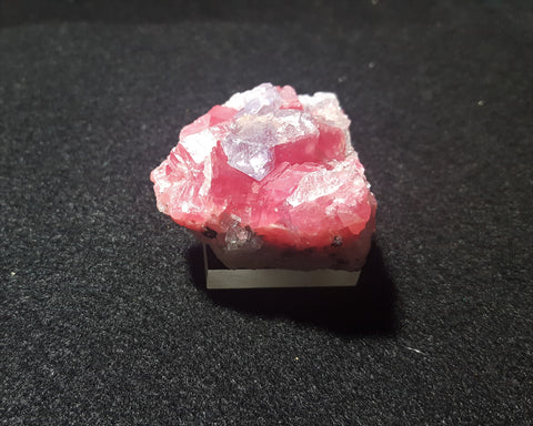 Rhodochrosite, Sweet Home Mine, Alma, Colorado. Stock #1800sl