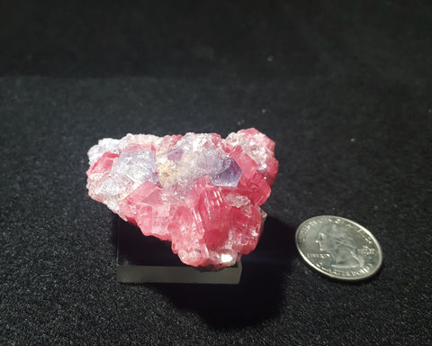 Rhodochrosite, Sweet Home Mine, Alma, Colorado. Stock #1800sl