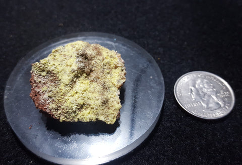 Rabbittite, Zippeite (fluorecent), Hideout Mine, San Juan County, Utah. Stock #2603sl