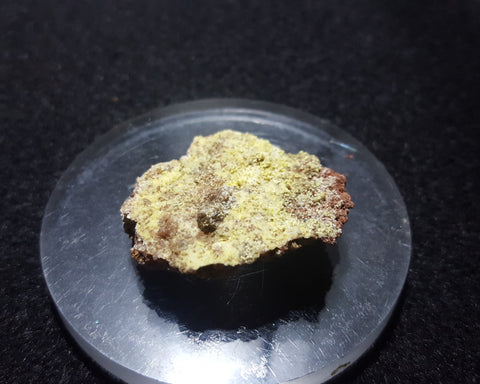 Rabbittite, Zippeite (fluorecent), Hideout Mine, San Juan County, Utah. Stock #2603sl