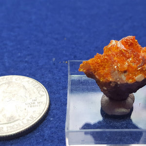 Wulfenite, Mimetite, Rowley Mine, Maricopa County Arizona. Stock #2303sl