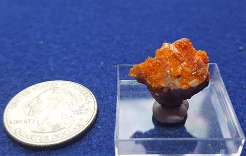 Wulfenite, Mimetite, Rowley Mine, Maricopa County Arizona. Stock #2303sl