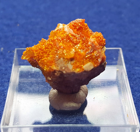 Wulfenite, Mimetite, Rowley Mine, Maricopa County Arizona. Stock #2303sl