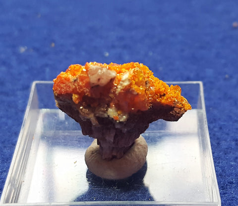 Wulfenite, Mimetite, Rowley Mine, Maricopa County Arizona. Stock #2303sl