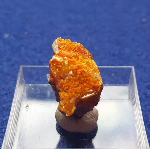 Wulfenite, Mimetite, Rowley Mine, Maricopa County Arizona. Stock #2303sl