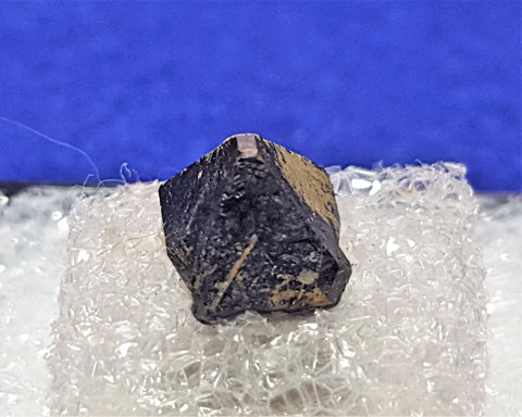 Perovskite, Dysanalyte, Perovskite Hill, Magnet Cove, Arkansas. Stock #1640sl