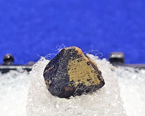 Perovskite, Dysanalyte, Perovskite Hill, Magnet Cove, Arkansas. Stock #1640sl