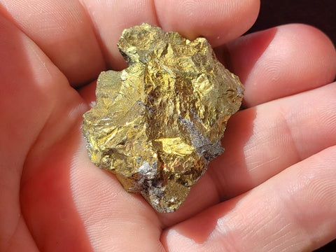 Chalcopyrite, San Antonio Mine, Chihuahua, Mexico. #11518sl