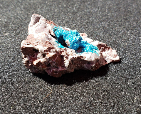 Cavansite, Poona, India. #1105191sl